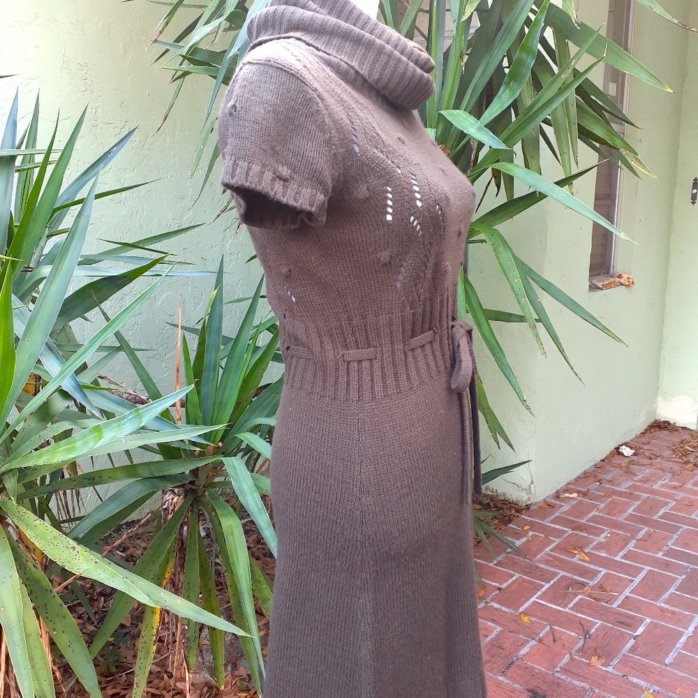 Brown Belted Sweater Dress - Picture 5 of 6